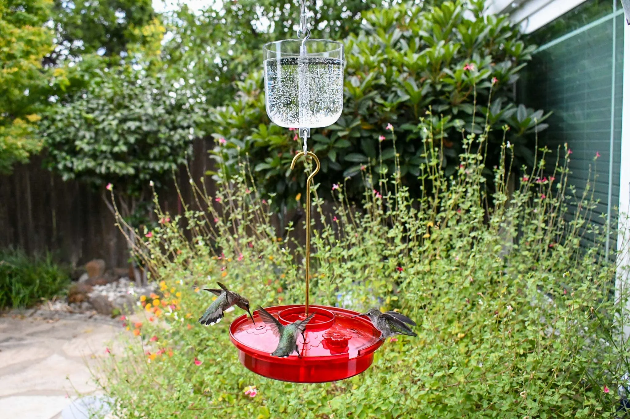 Songbird Essentials Hummingbird Haven feeder suspended from a hook in a landscaped backyard setting.