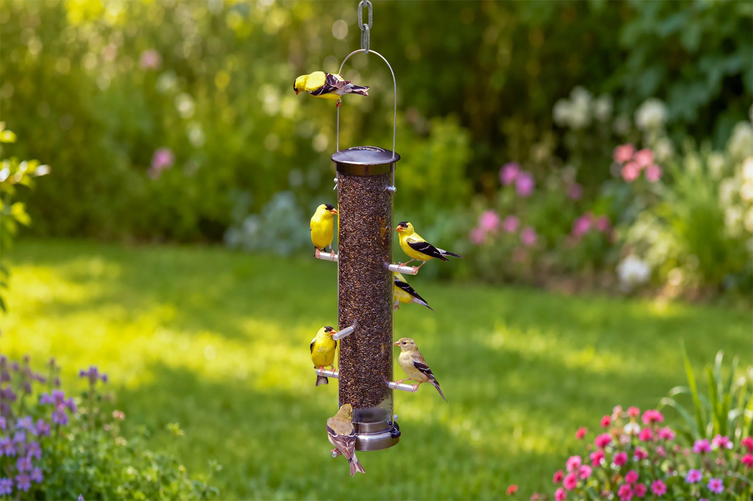 Aspects 400 Quick Clean Medium Nickel Finch Tube Feeder attracting colorful finches in a summer garden setting.