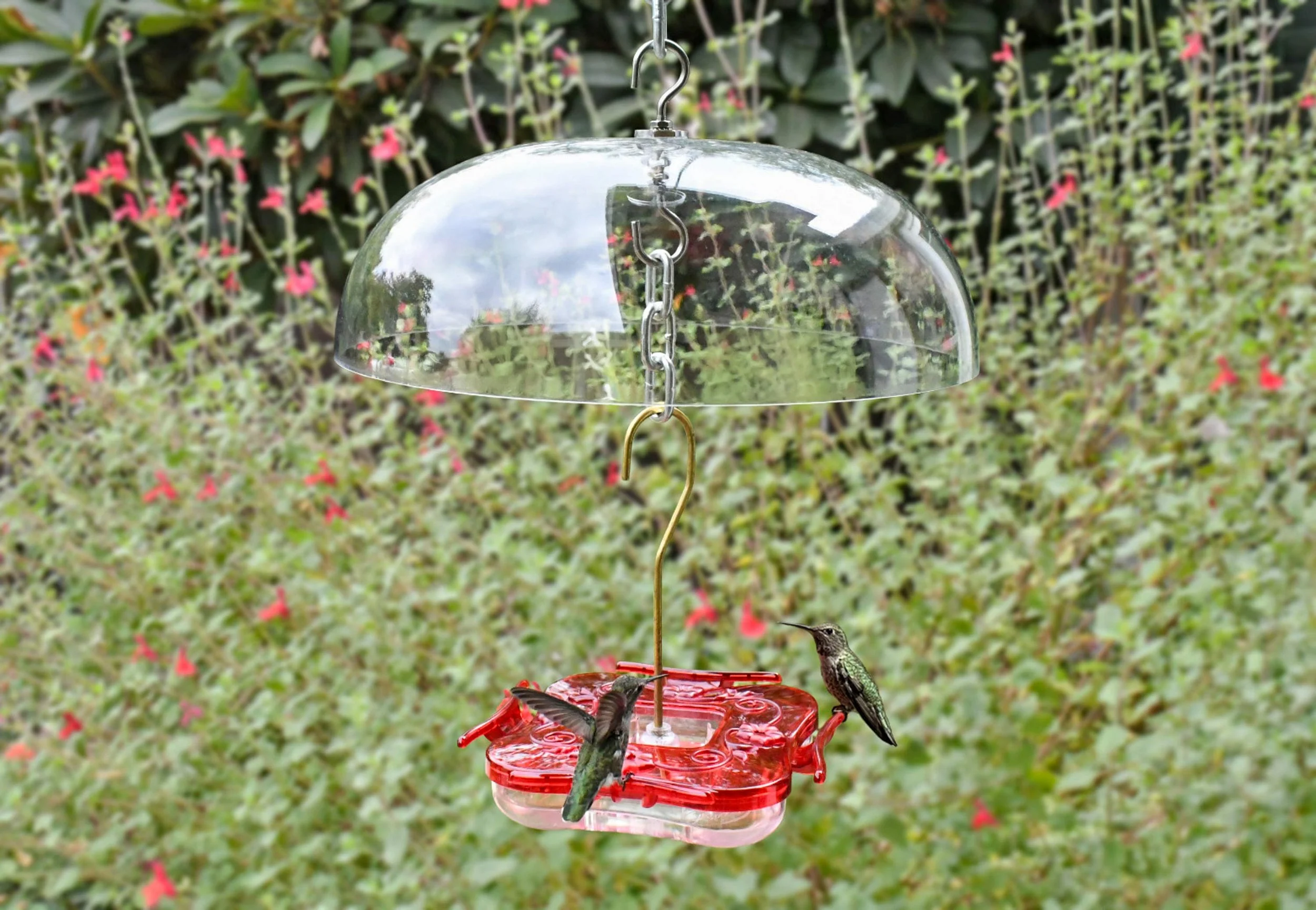 Aspects 264 Weather Dome protecting a hanging hummingbird feeder with hummingbirds feeding in a garden.