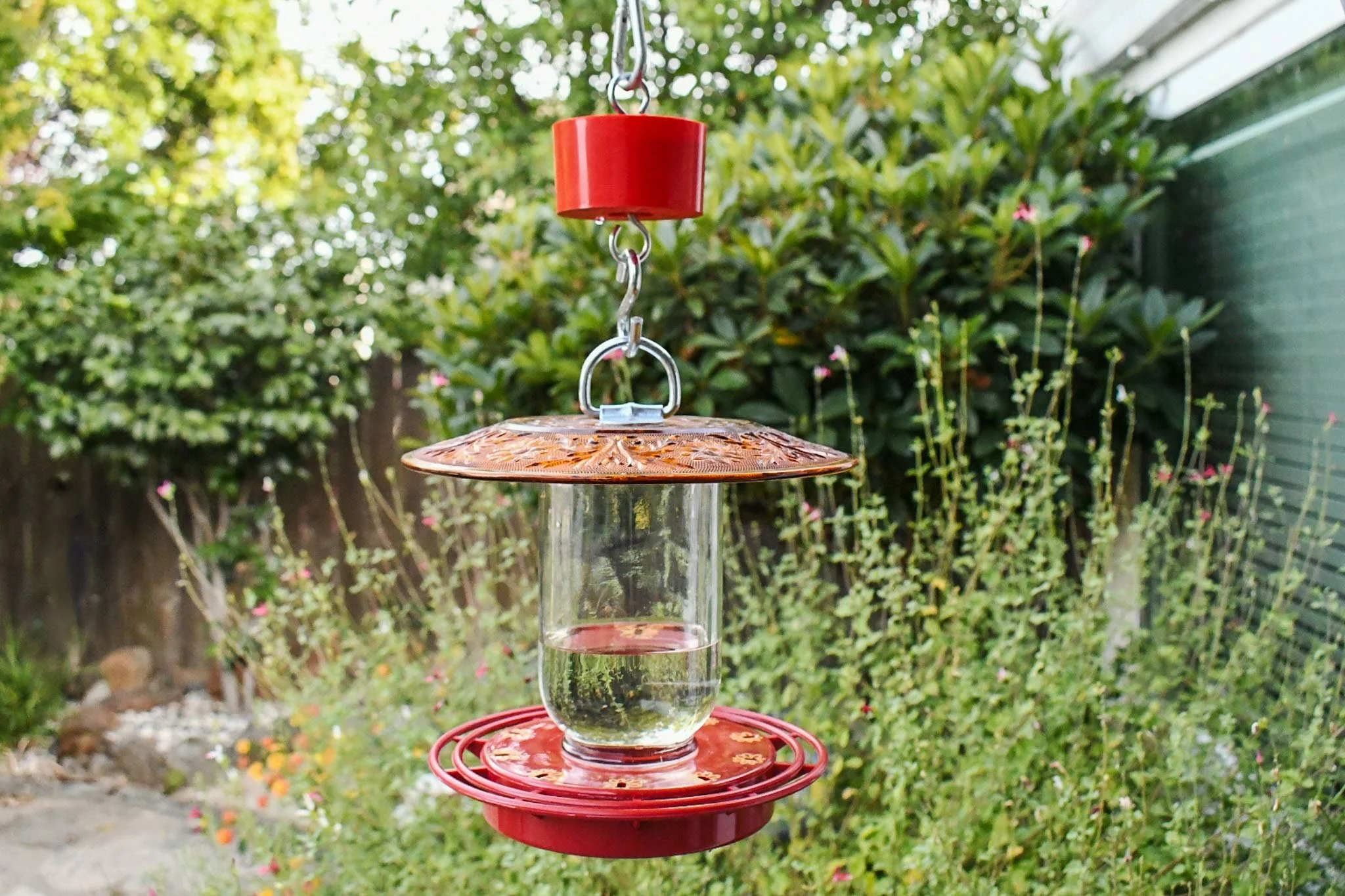 Red ant trap installed above a hanging bird feeder in an outdoor garden.