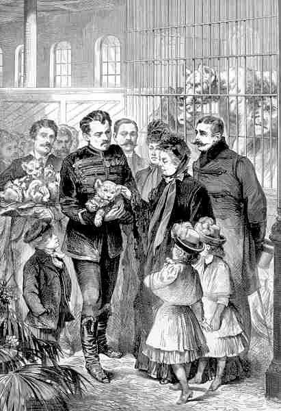 Queen Victoria and the amazingly not dead lion cubs at the London Zoo