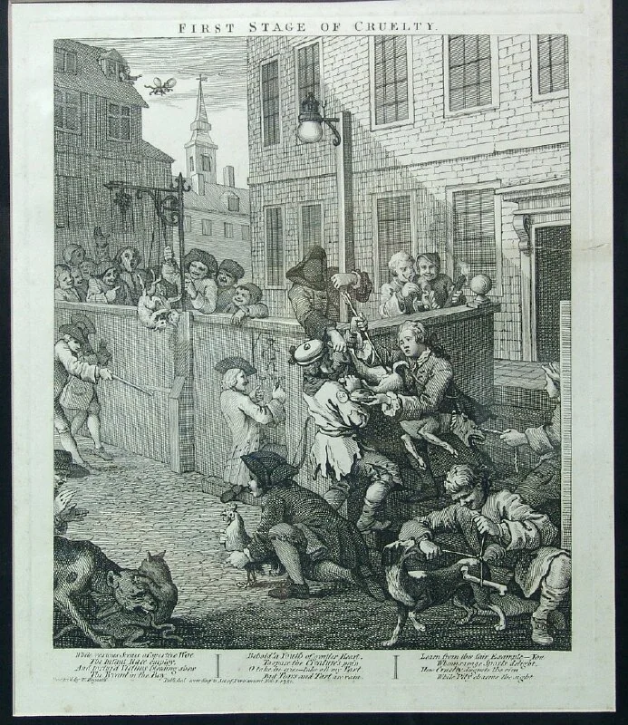 Throwing at cocks. A great sport of the 18th century!