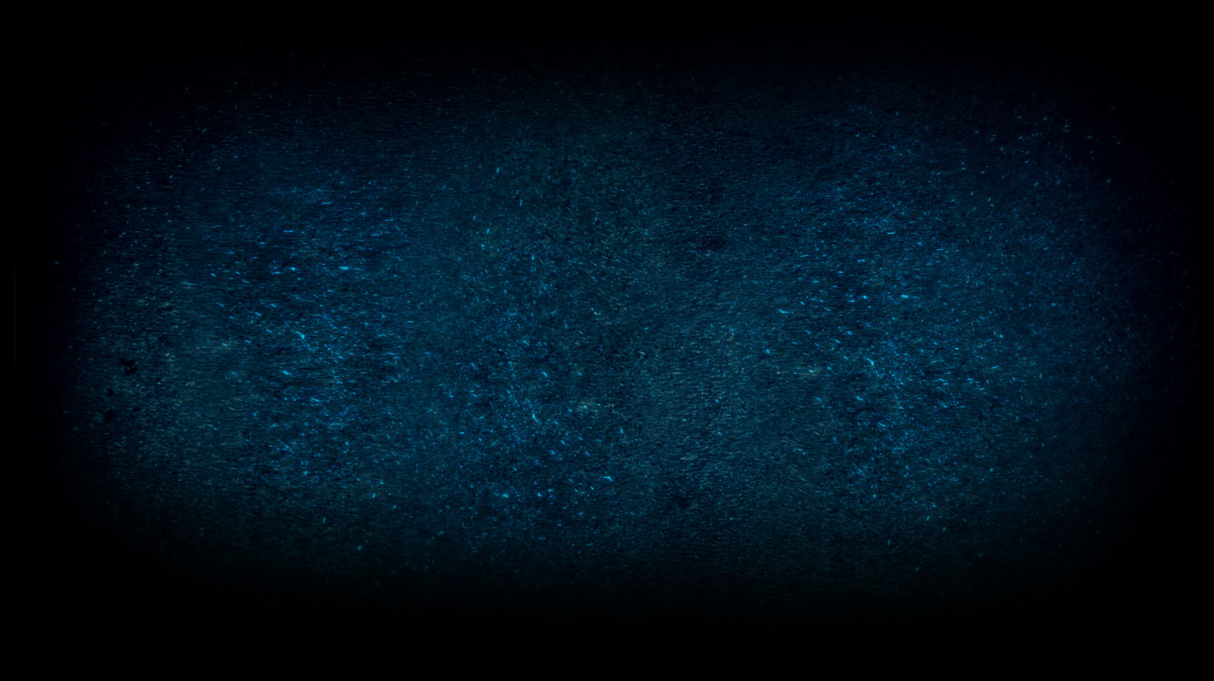CTM_BackCoverTexturePlain2-med.jpg
