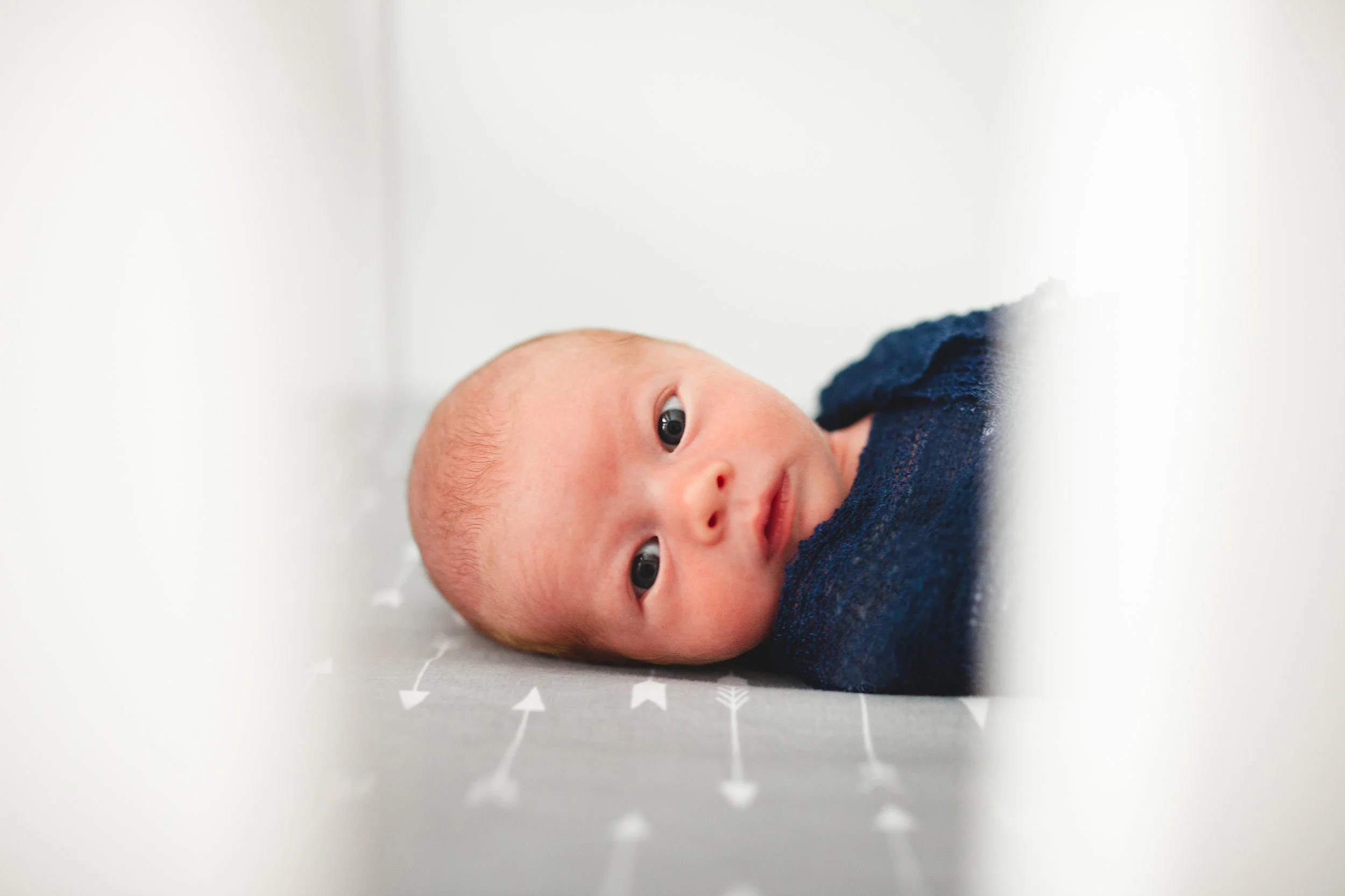 052819BabyLeo16.jpg