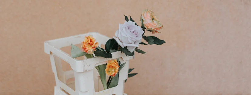 fiori-fb banner.jpg