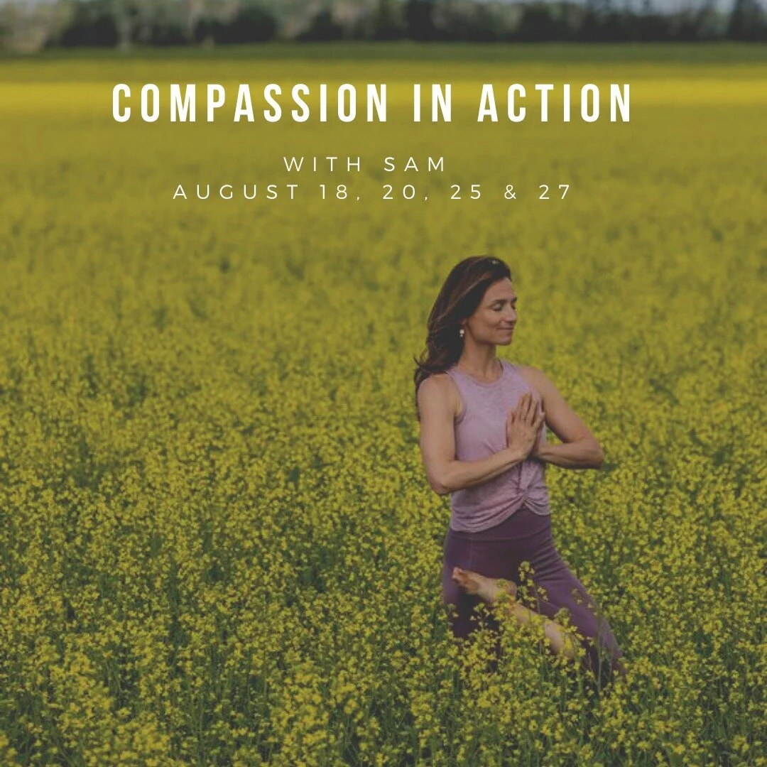 Compassion In Action