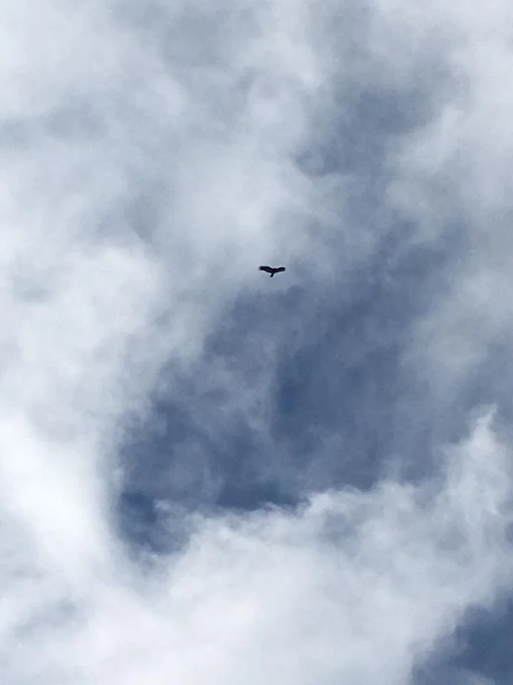 12.4.18 - Dream A Little Dream