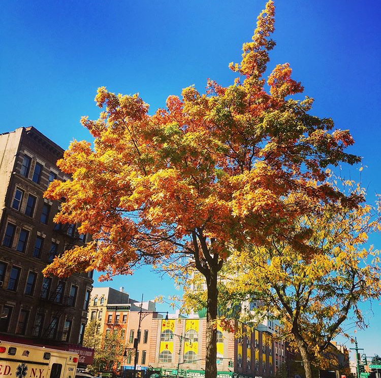 Monthly Update: "You Have That Strength In You"