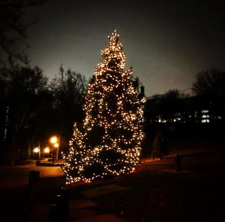 Monthly Update: "The Death of an Amateur"