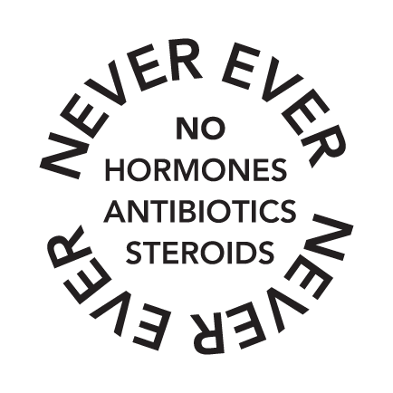 Never_Ever_STAMP_b&w.png