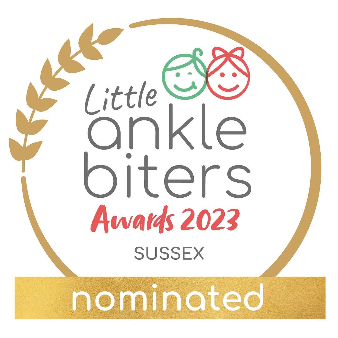 Wow, well whoever has nominated me anonymously for this then thank you so much!! 🙏 I put my heart and soul into this little business and it&rsquo;s a real honour that any of my clients would nominate me for the Sussex @littleanklebiterssussex awards