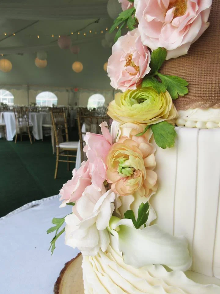 Mixed Media Country Inspired Cake