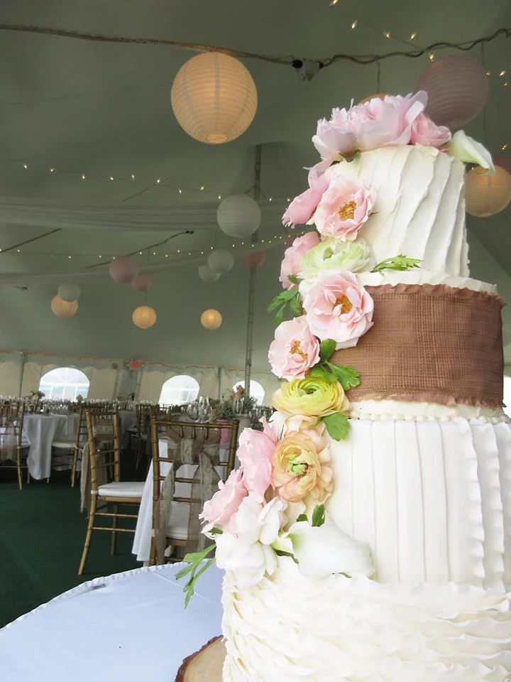 Mixed Media Country Inspired Cake