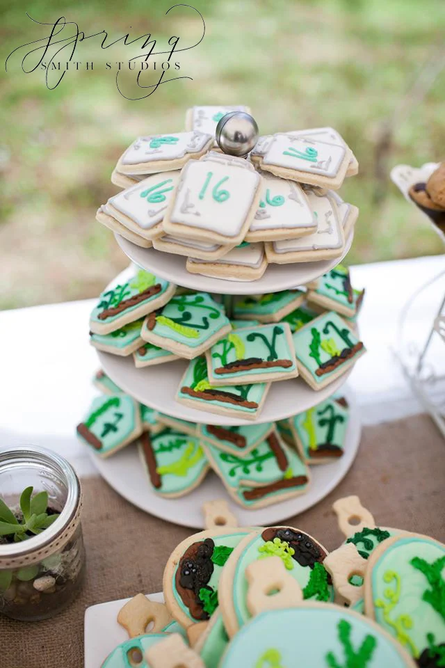 Terrarium cookies.jpg