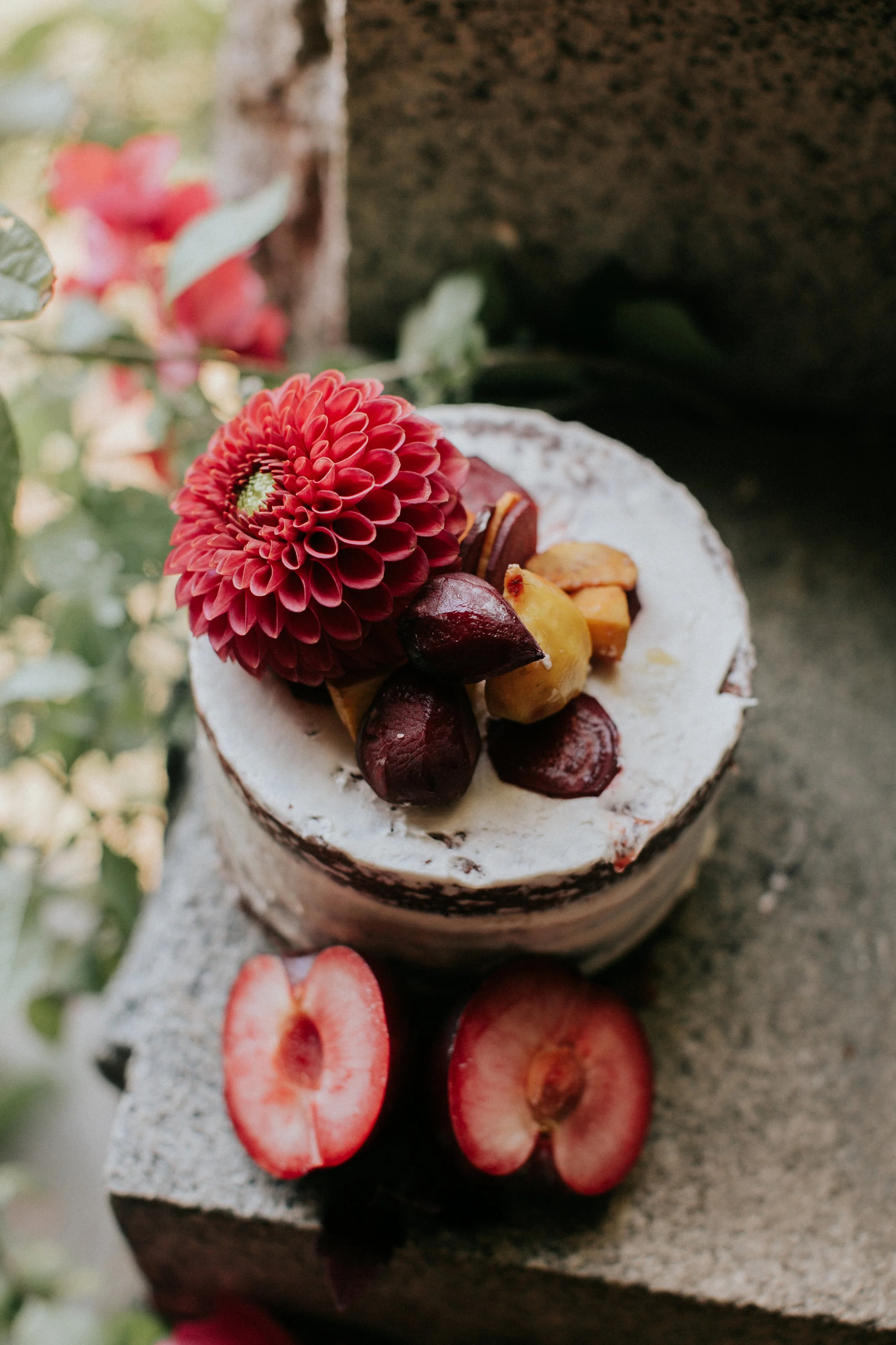 Image created by Emily Delameter Photography