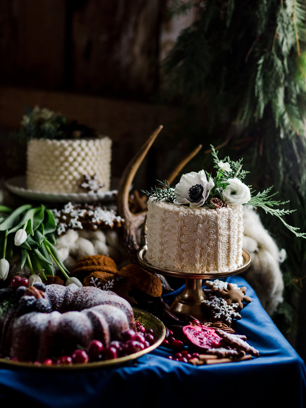 vikingwintershootwebsized-138.jpg