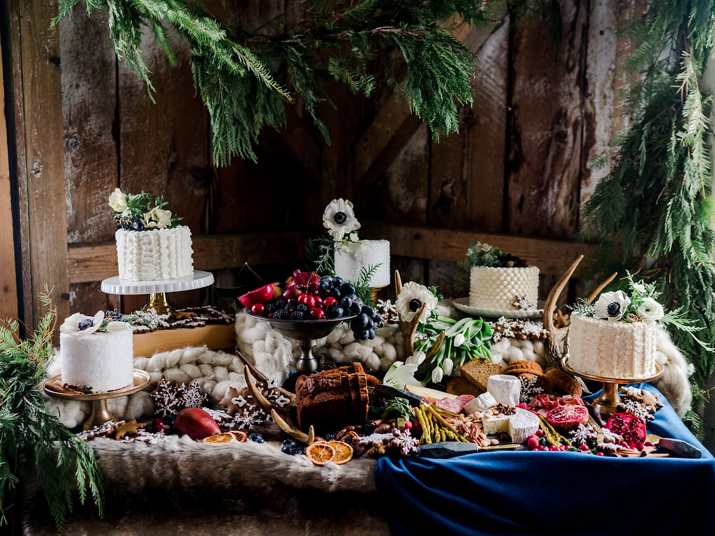 vikingwintershootwebsized-253.jpg