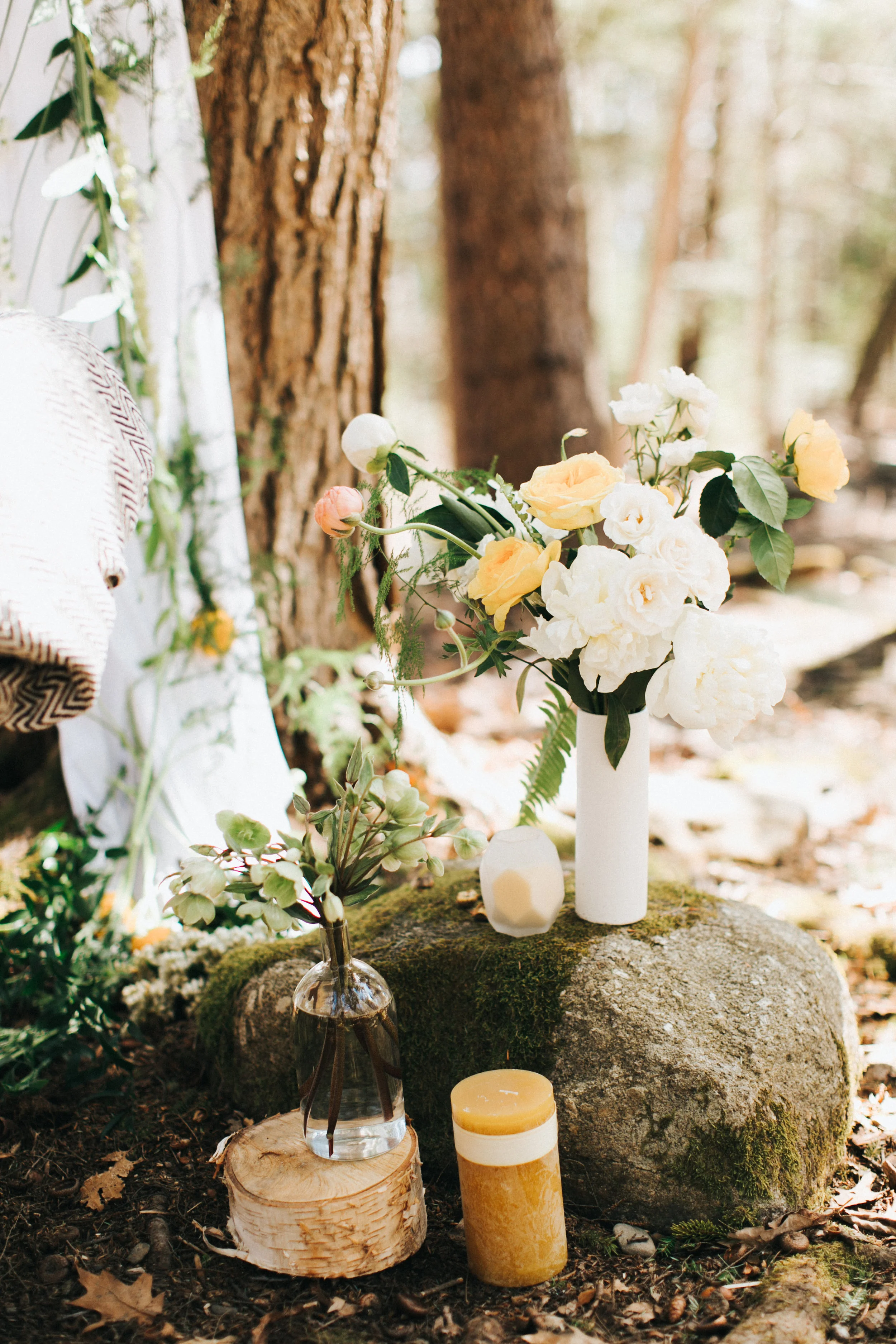 0424EarlySpringShoot-0096.jpg