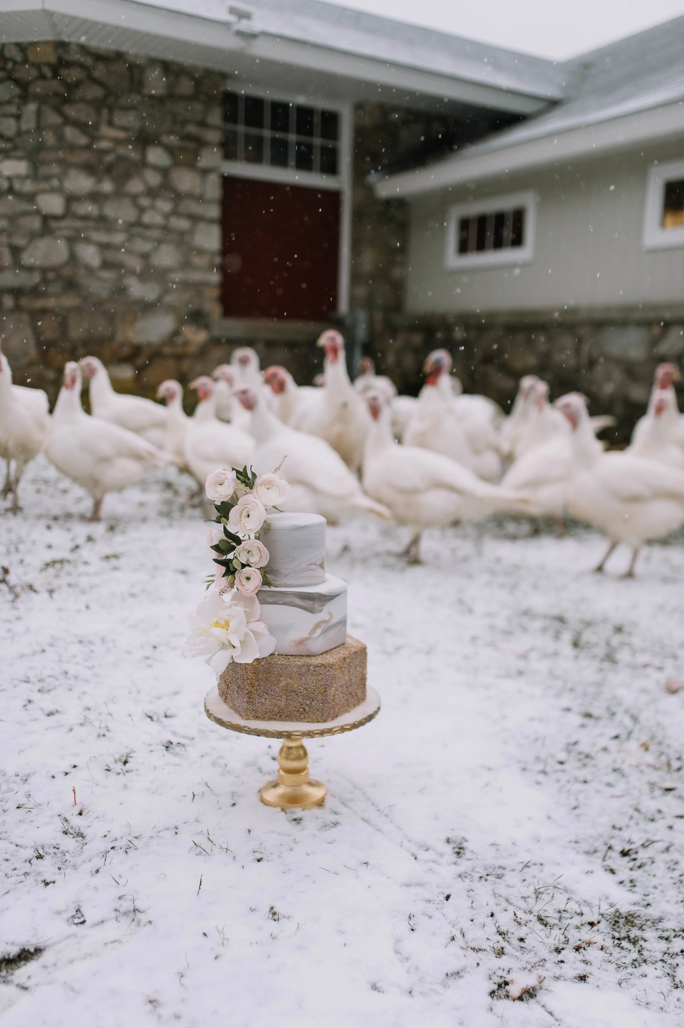 StyledShoot-174.jpg