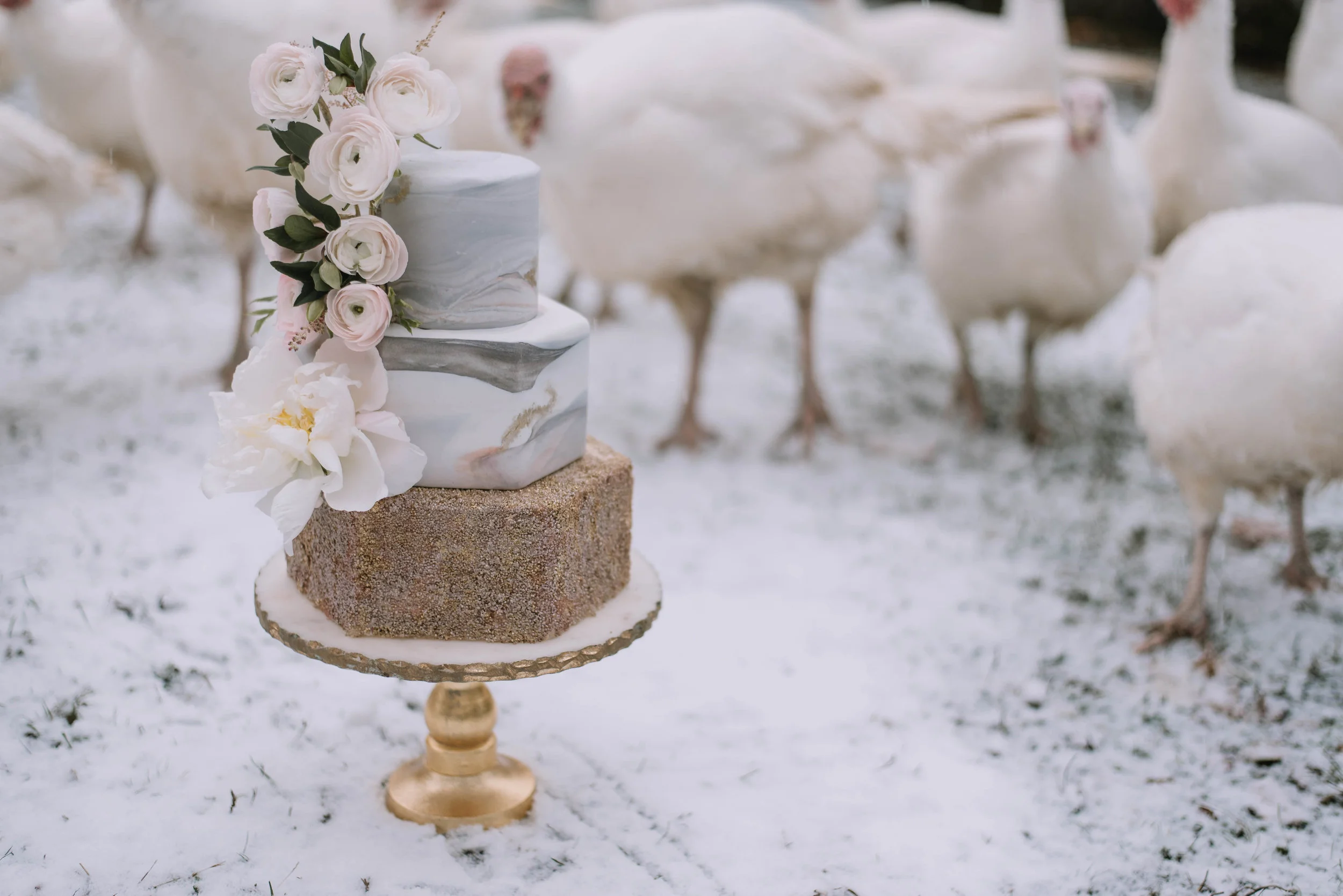 StyledShoot-178.jpg