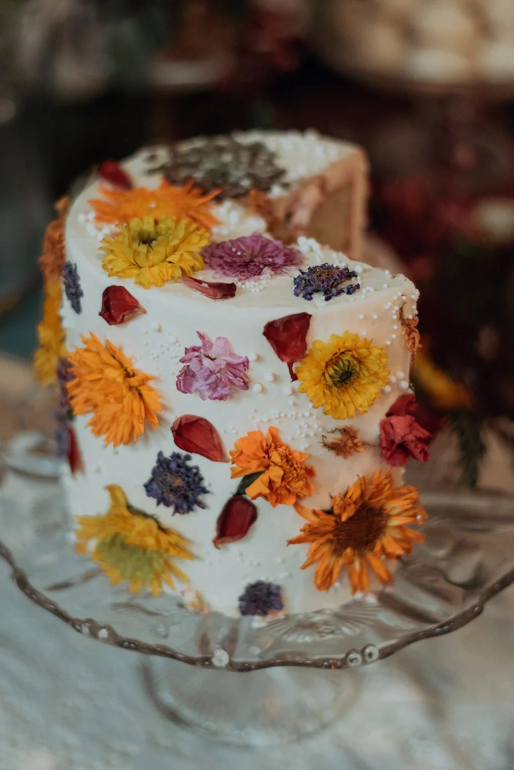 Alice-106.jpg