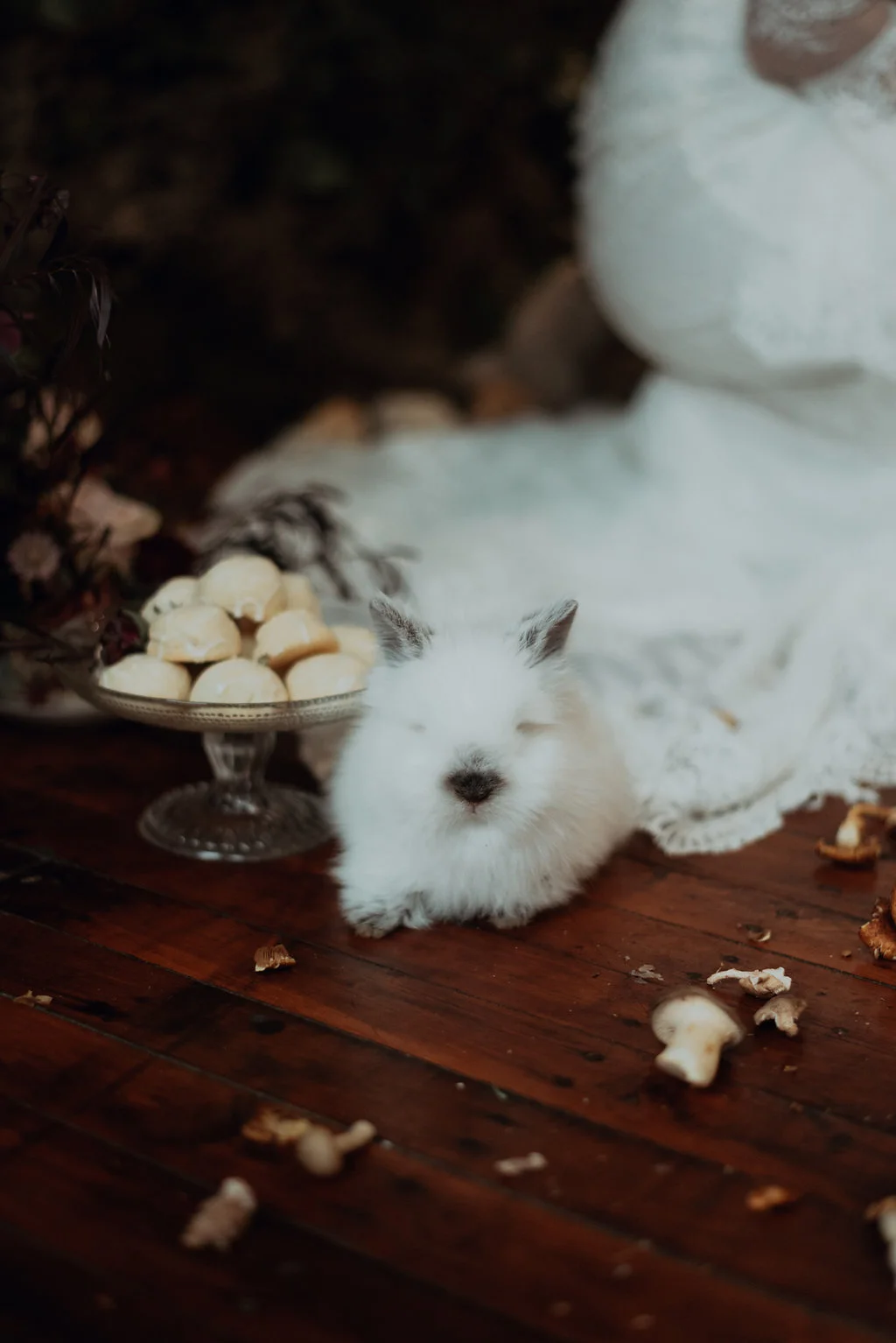 Alice-129.jpg
