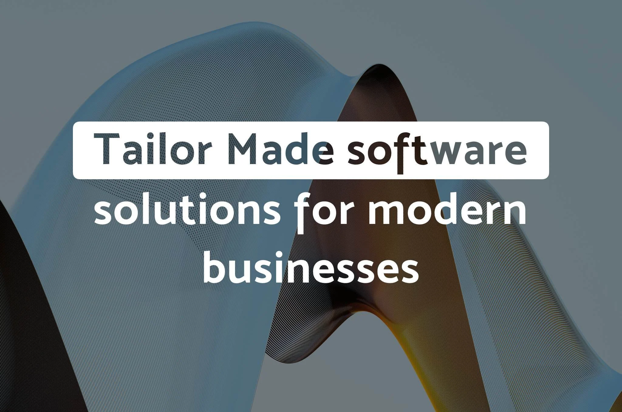 Tailor Made Software Solutions for Modern Businesses