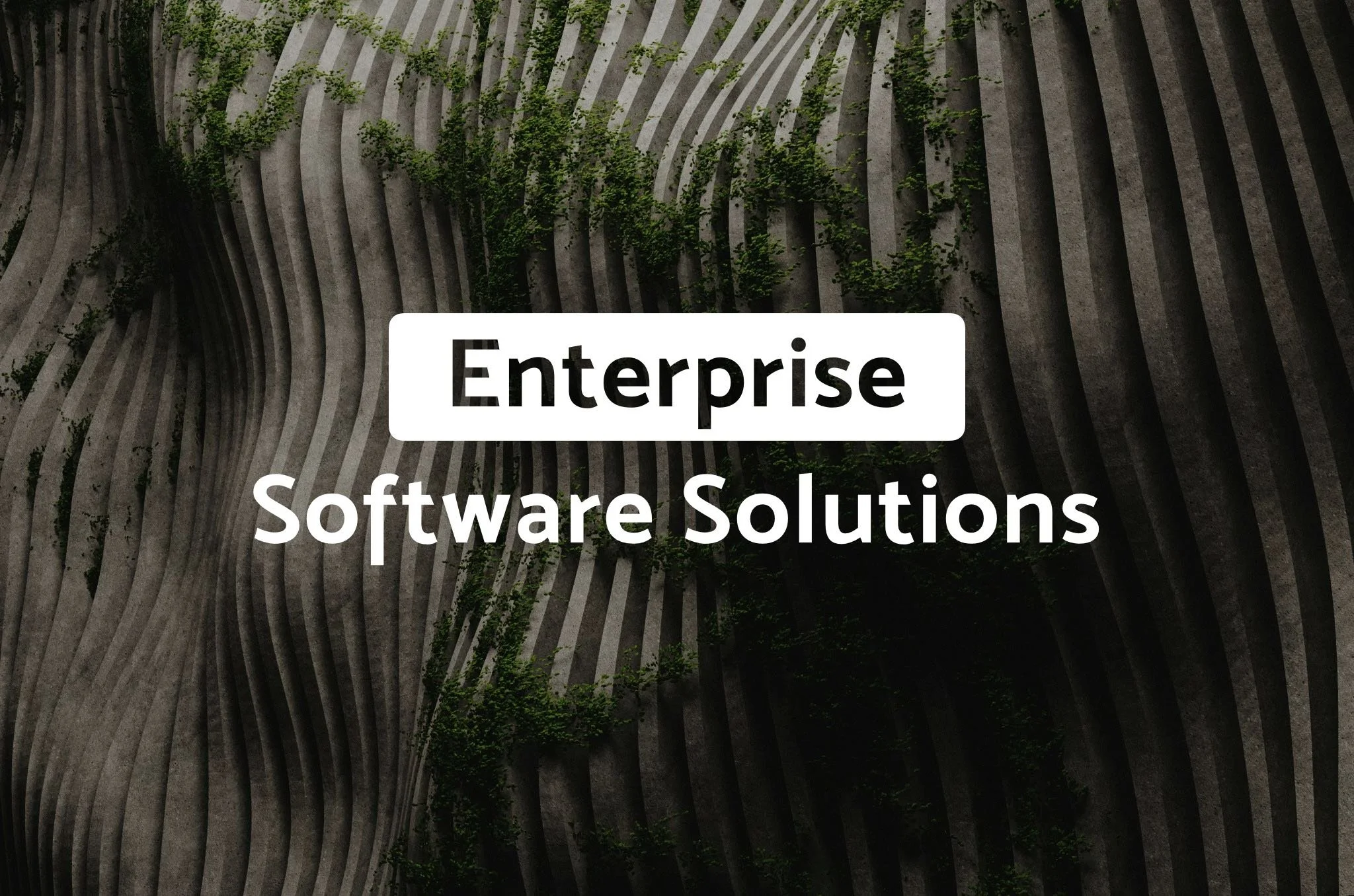 Enterprise Software Solutions: Balancing Customization and Efficiency