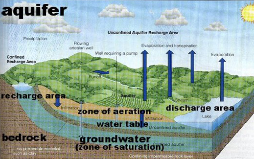 Graphic courtesy of Texas Agrilife.