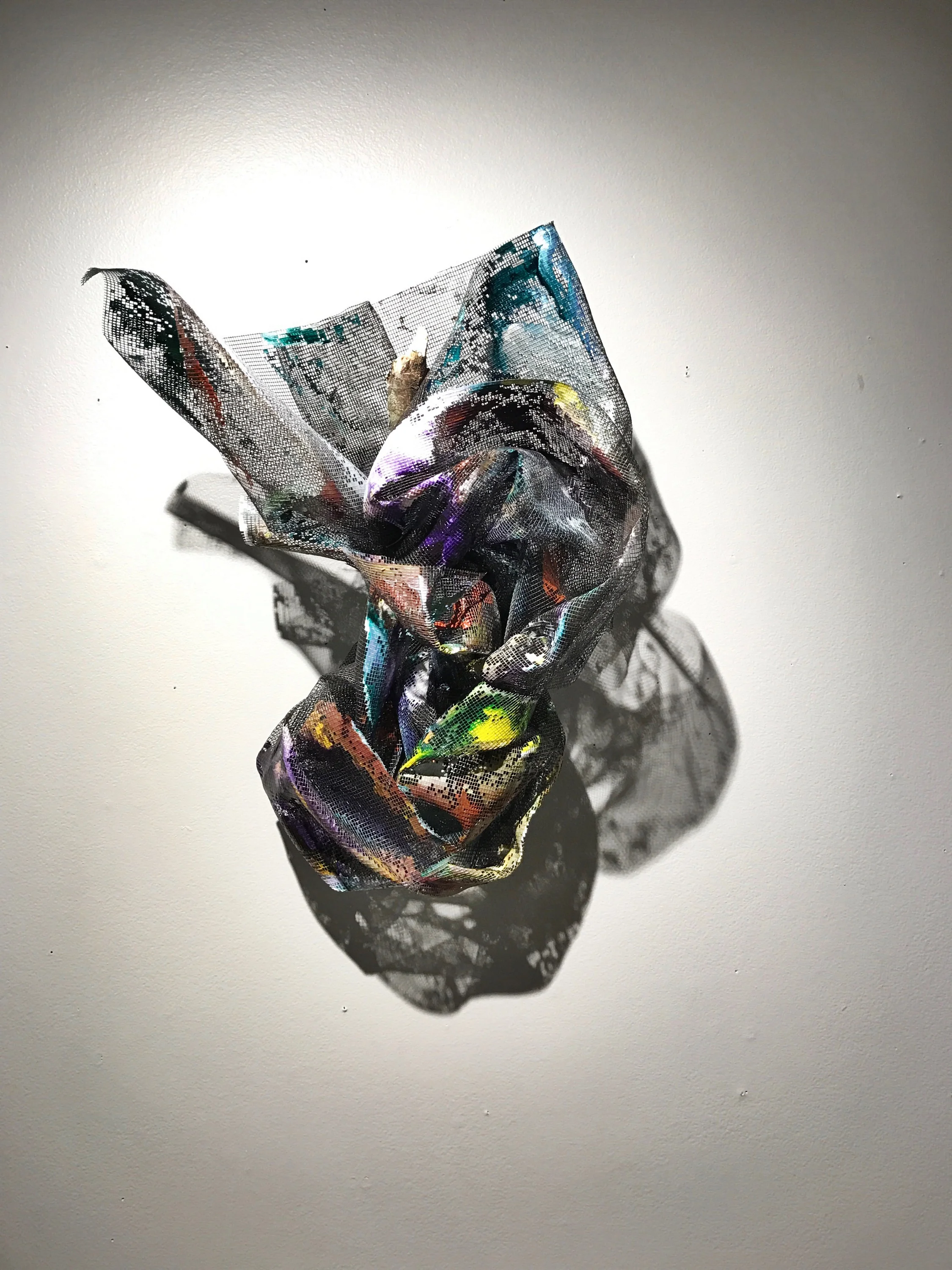   Debris , elastic mesh screen, branches, braid, acrylic paint, 1’x.5’x1', 2016 