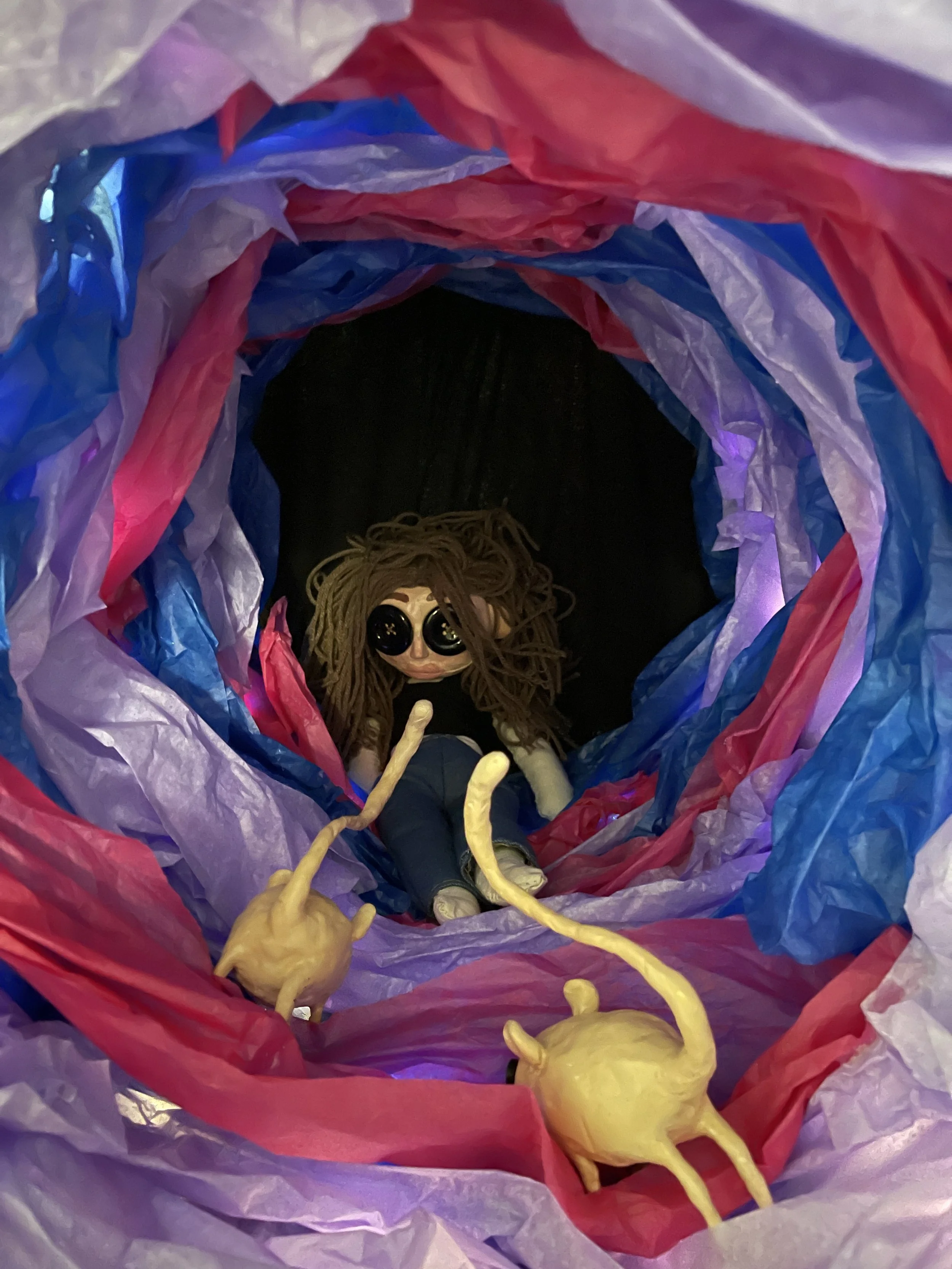 Installation Project