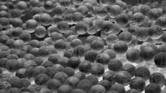 Jeff - BreakingWave Short BW 3_2.gif