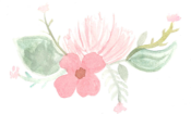 Border with Pink Flowers.png