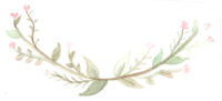 Vine Border with Pink Flowers.png