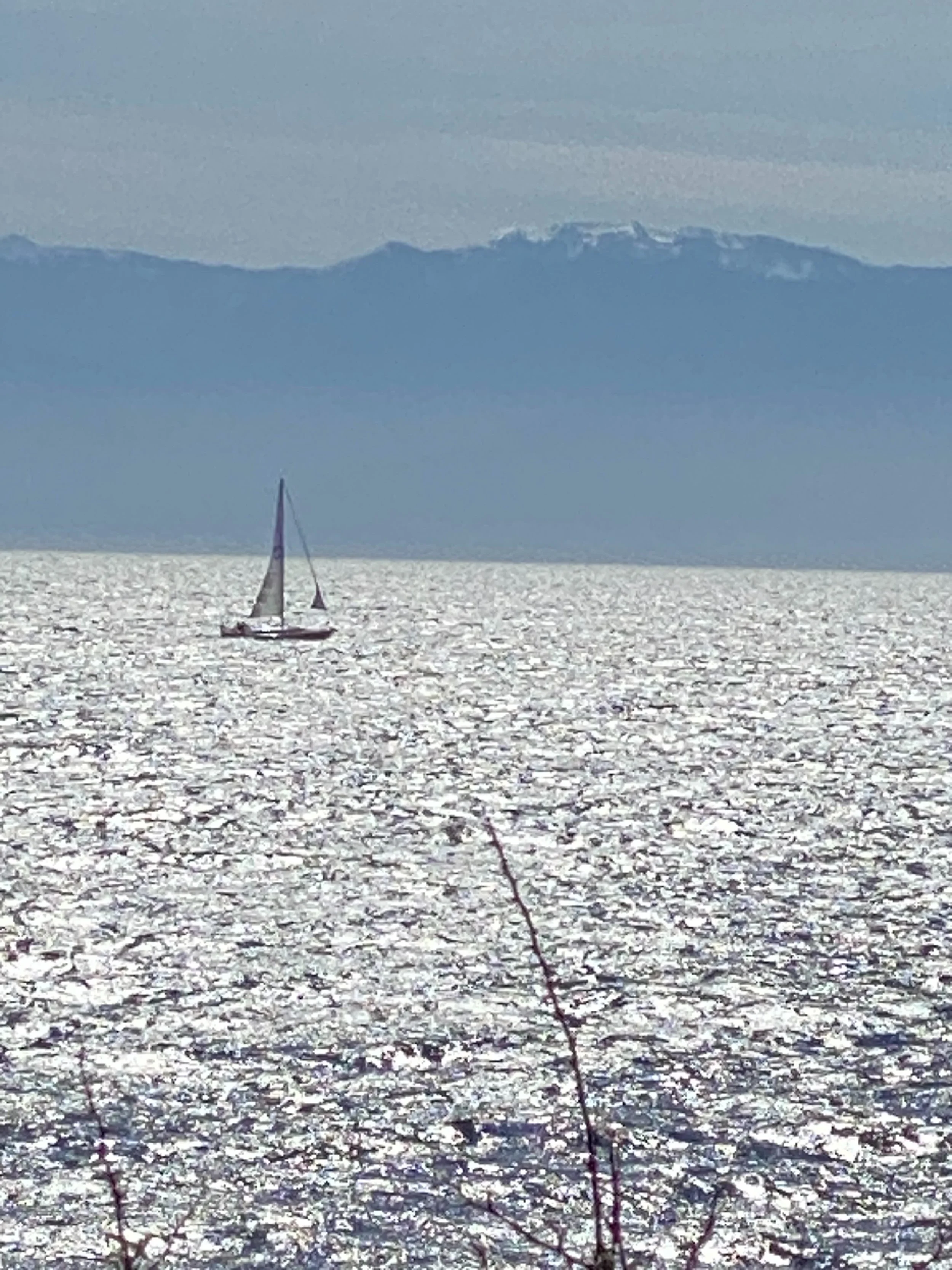 🌷Nothing like a walk by the water in Esquimalt 🌊