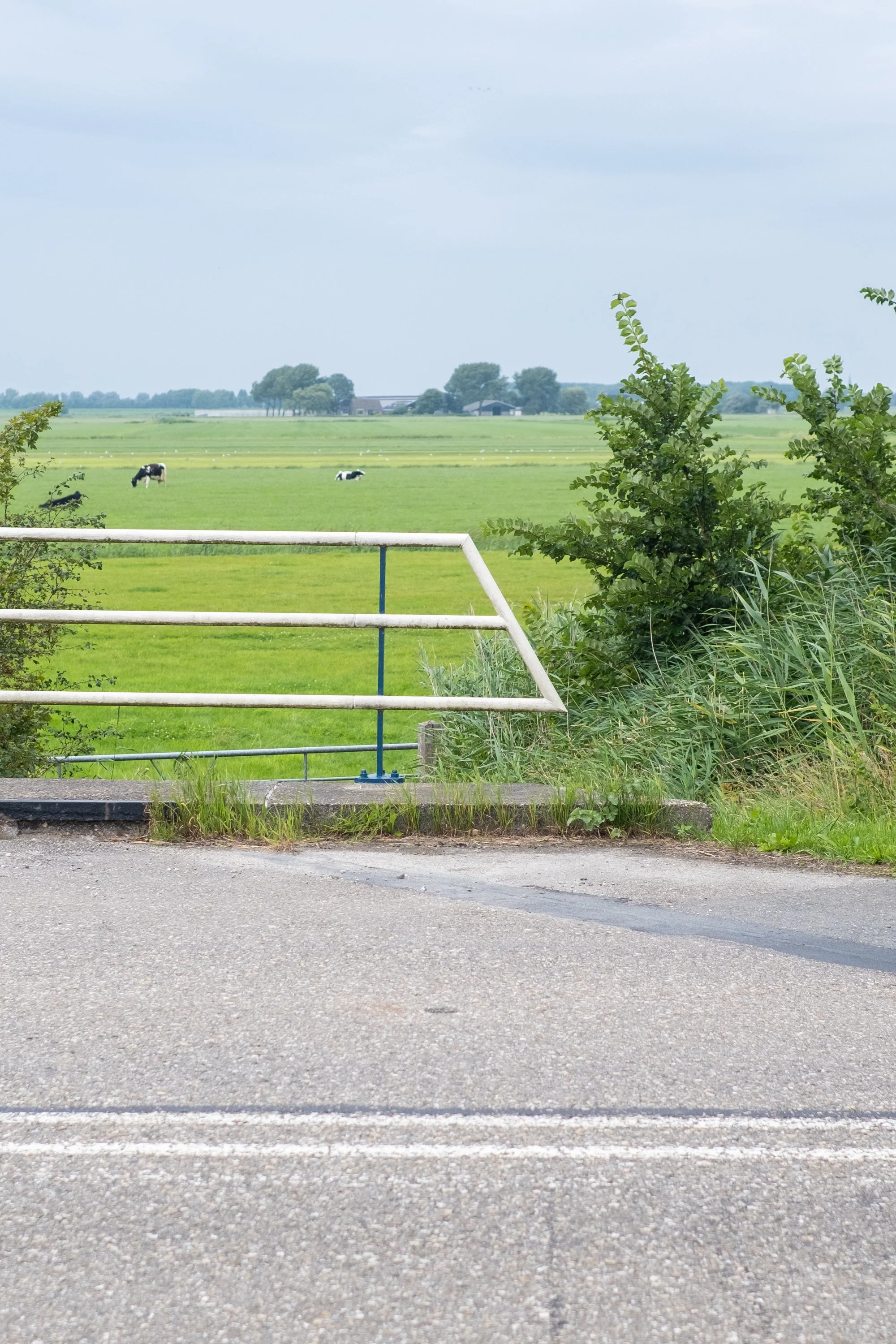 08-peter-haynes-trips-denmark-ride-2025-0080.jpg