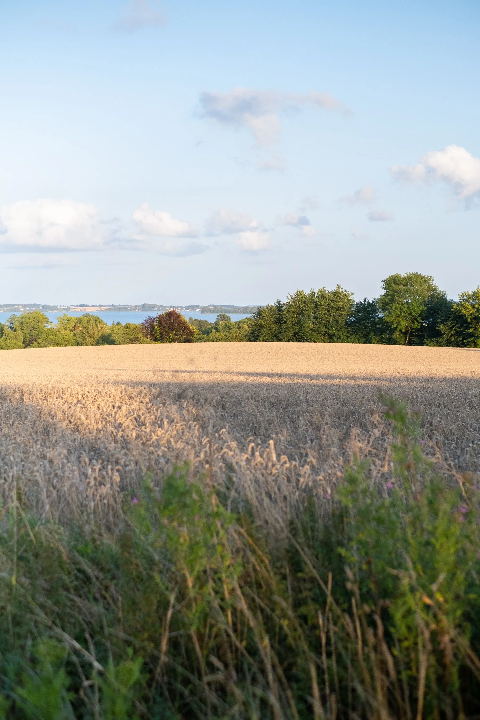 08-peter-haynes-trips-denmark-ride-2025-0156.jpg