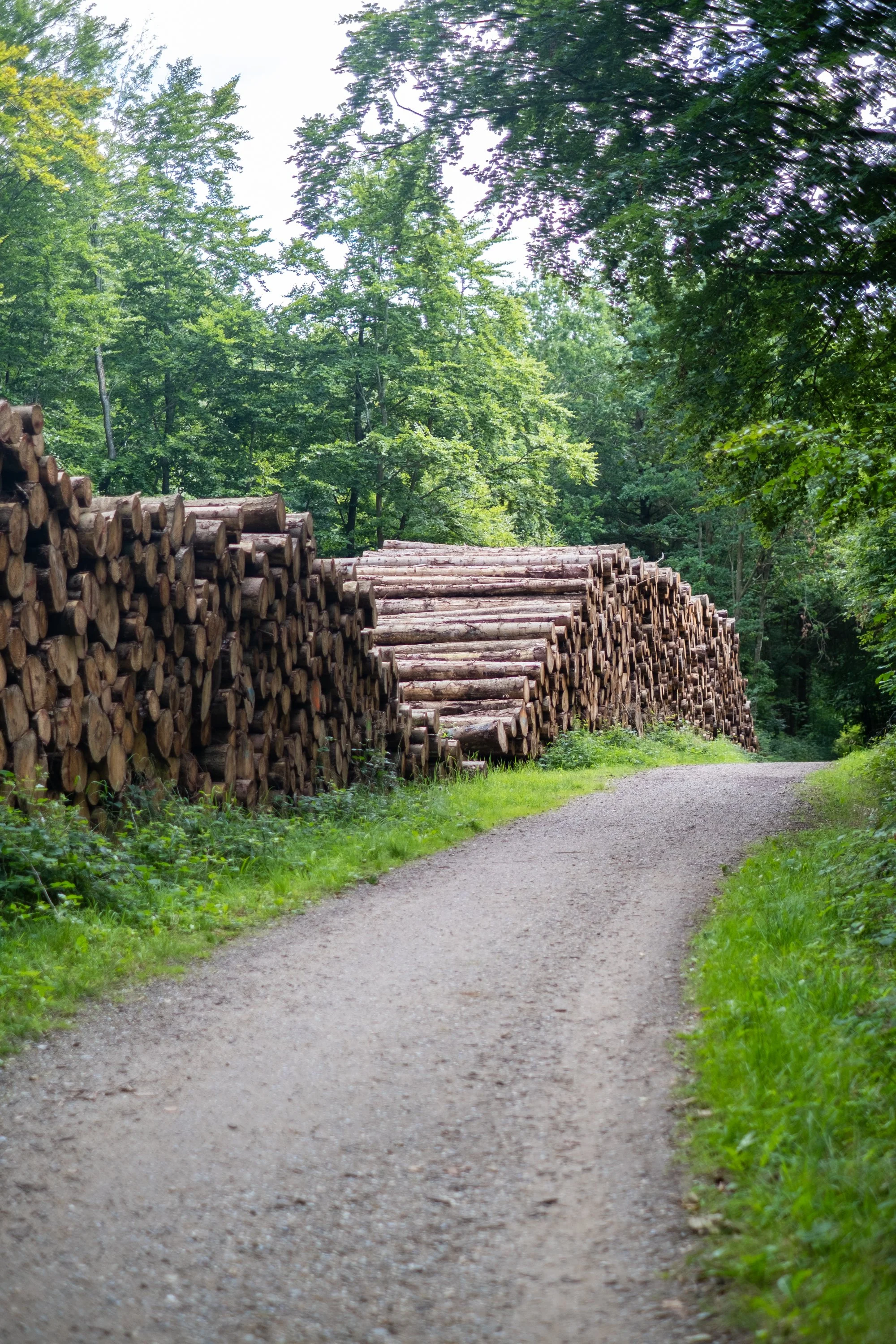 08-peter-haynes-trips-denmark-ride-2025-0168.jpg