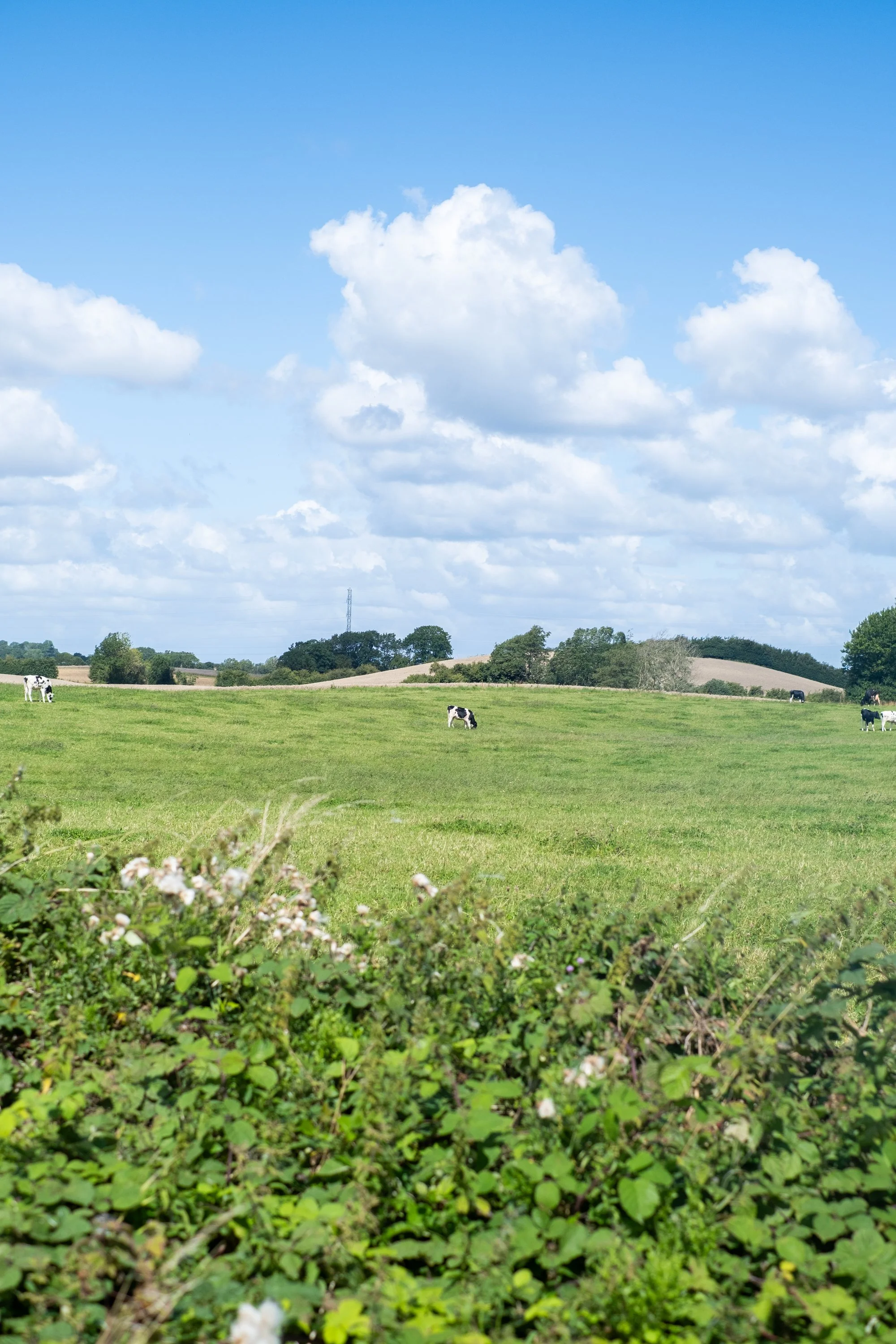 08-peter-haynes-trips-denmark-ride-2025-0201.jpg