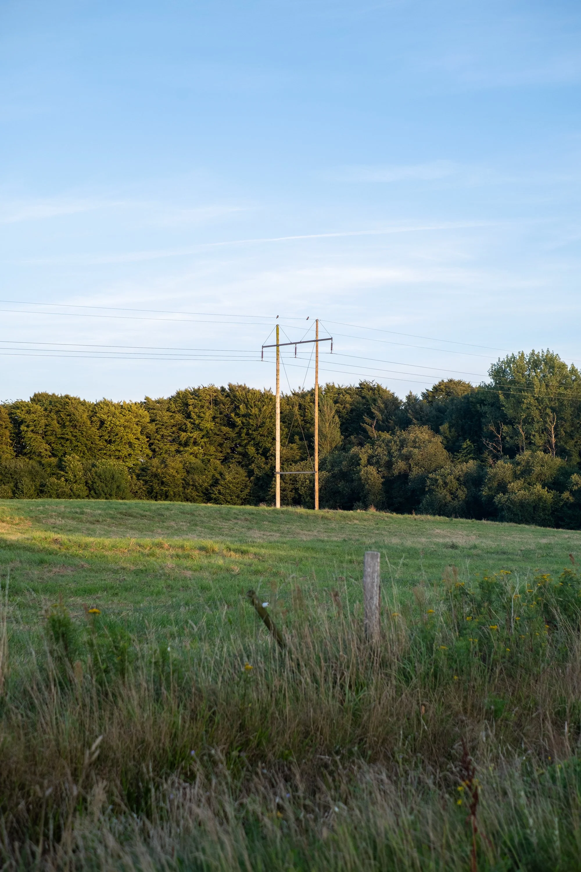 08-peter-haynes-trips-denmark-ride-2025-0225.jpg