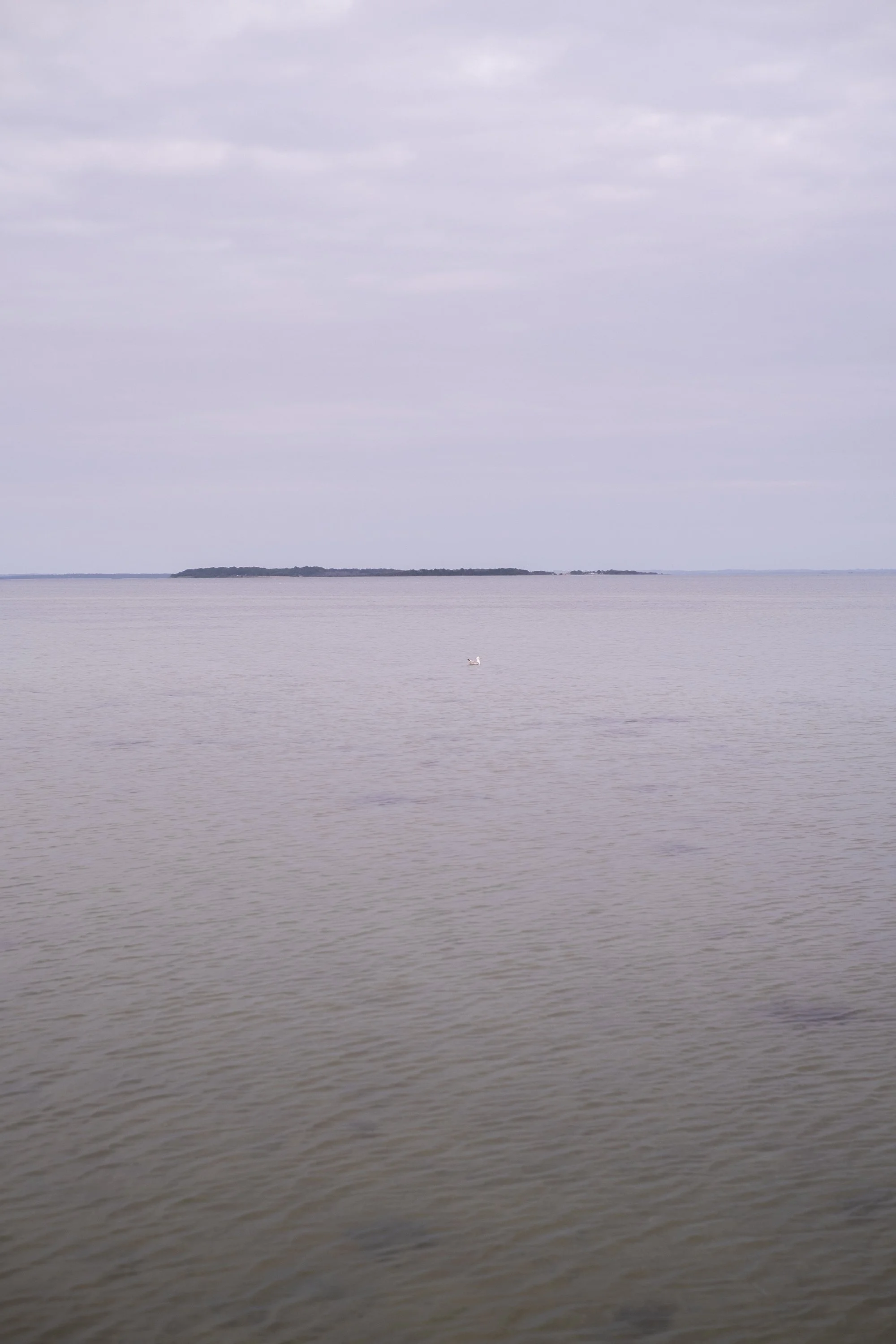 08-peter-haynes-trips-denmark-ride-2025-0232.jpg