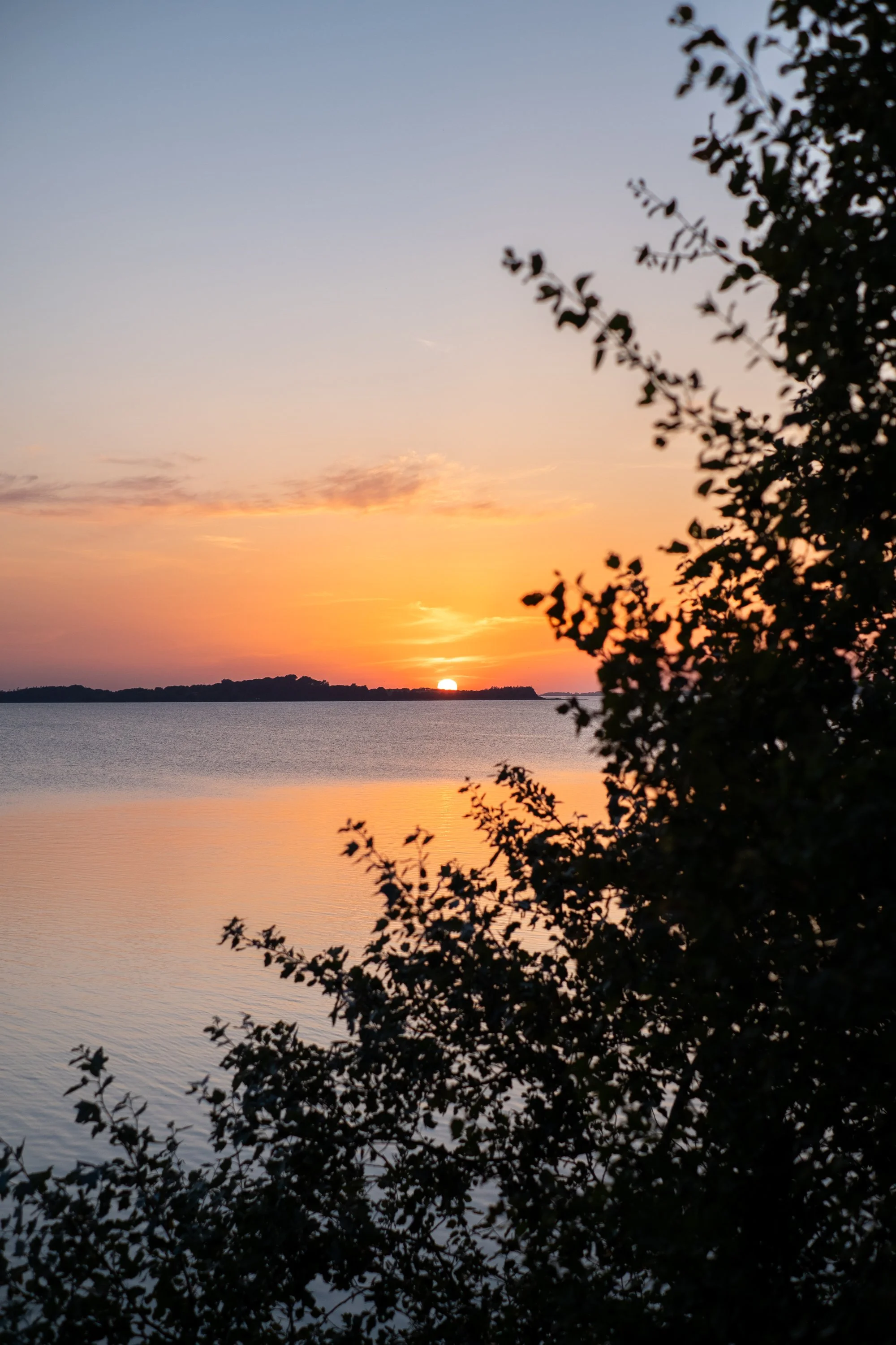 08-peter-haynes-trips-denmark-ride-2025-0314.jpg
