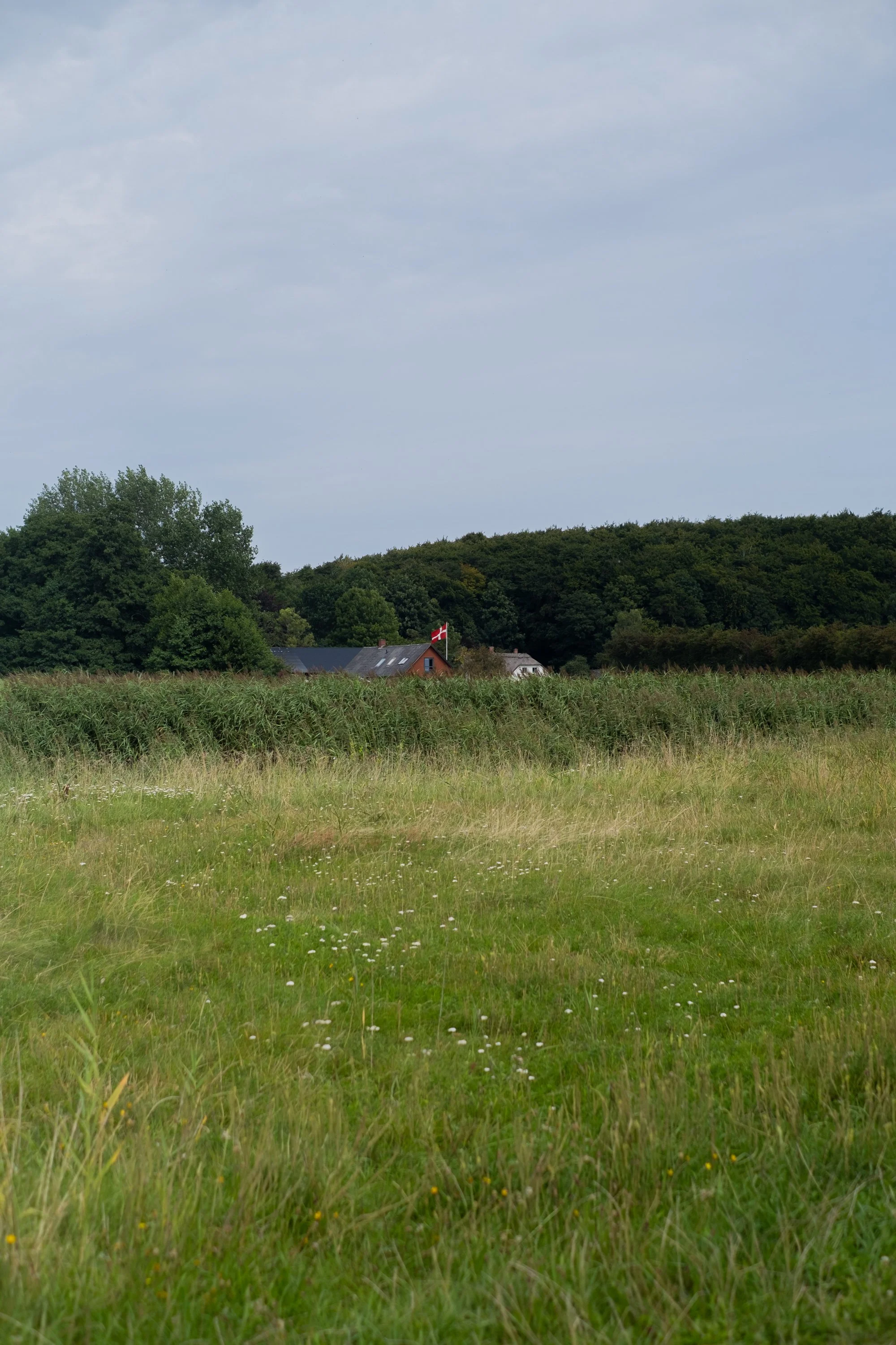08-peter-haynes-trips-denmark-ride-2025-0328.jpg
