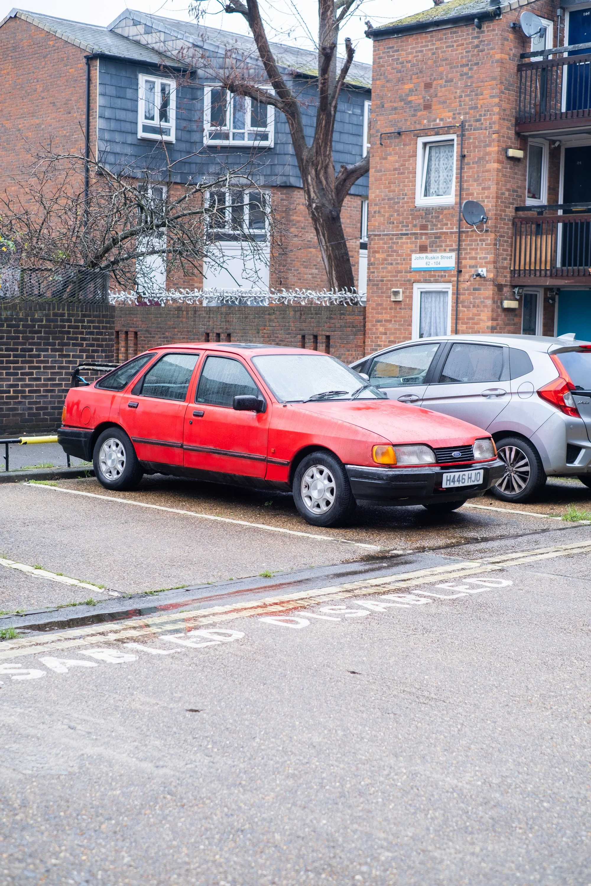 02-peter-haynes-daily-photos-february-2026-se-walk-239.jpg