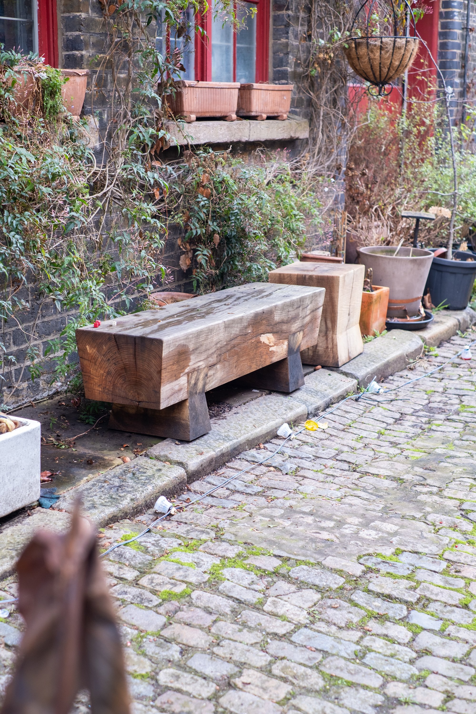 02-peter-haynes-daily-photos-february-2026-se-walk-1266.jpg