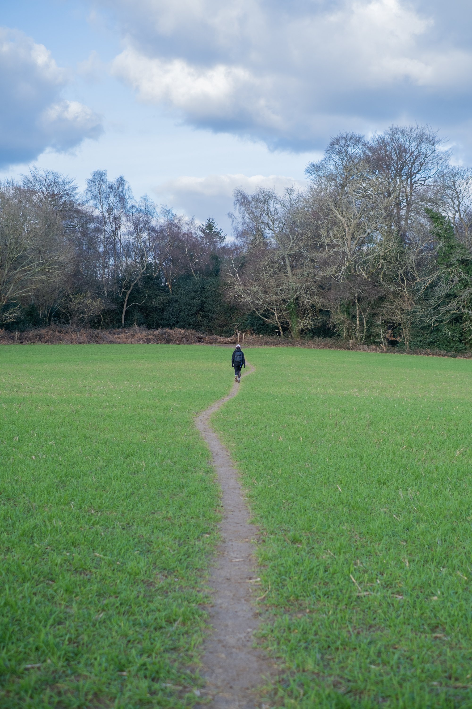 02-peter-haynes-daily-photos-february-2026-surrey-walk-1278.jpg