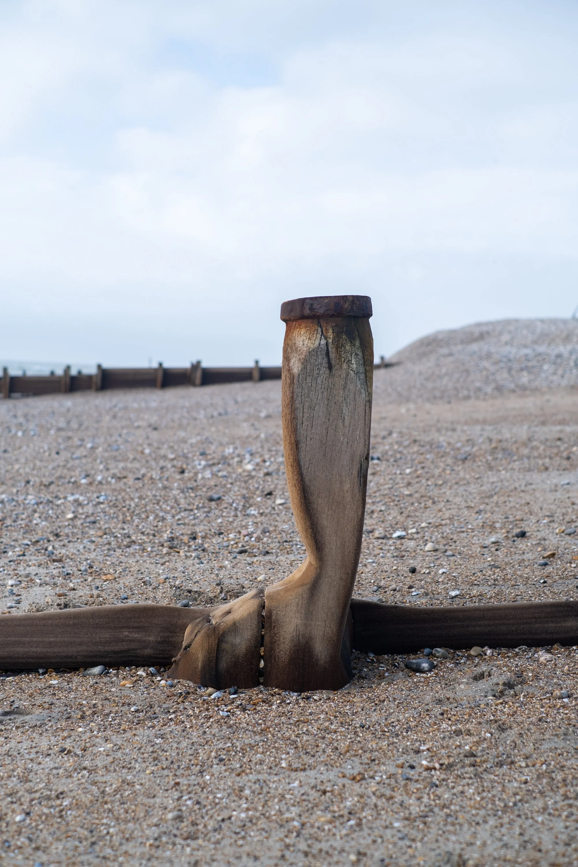 03-peter-haynes-daily-photos-march-2026-selsey-sussex-walk-1445.jpg