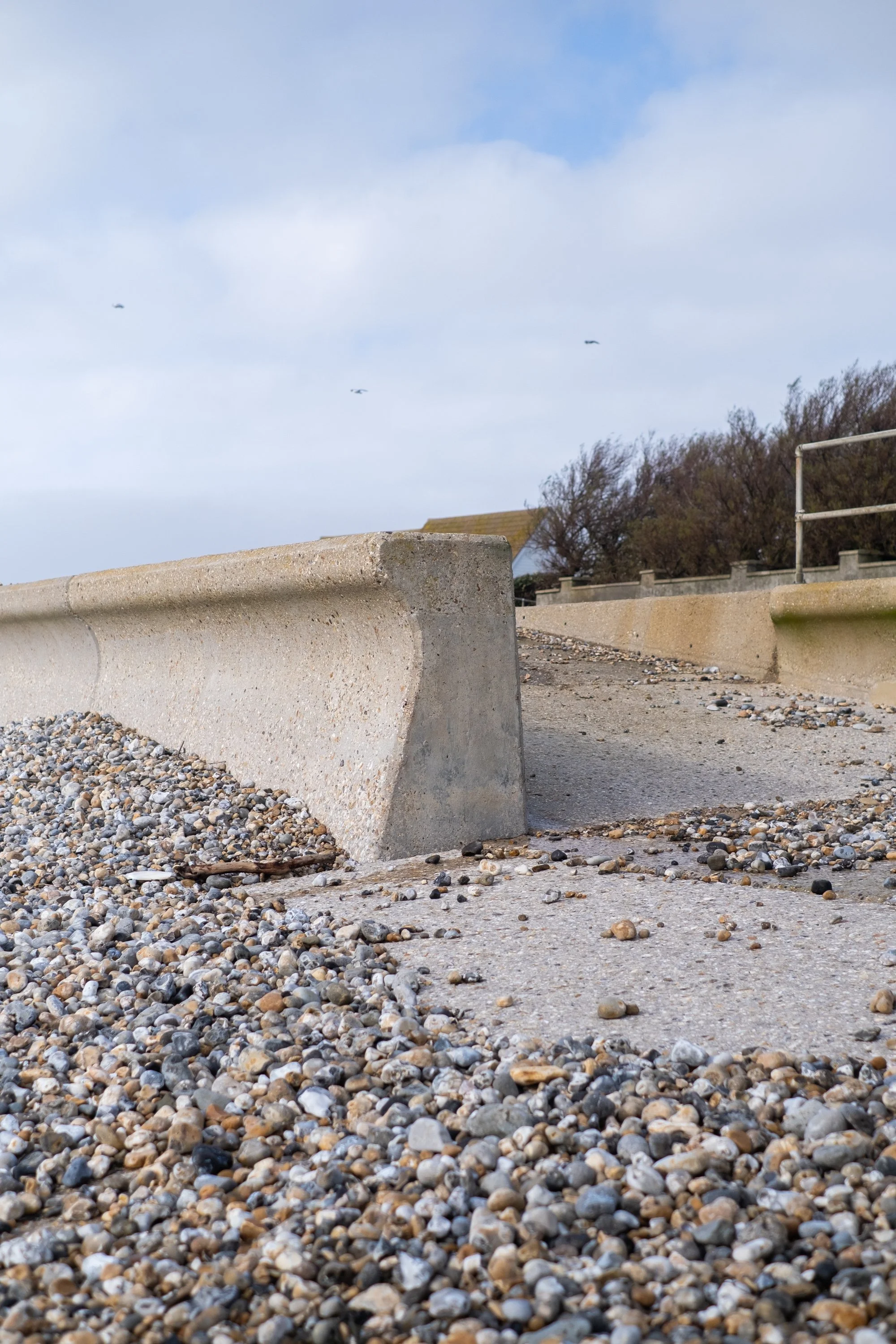 03-peter-haynes-daily-photos-march-2026-selsey-sussex-walk-1453.jpg