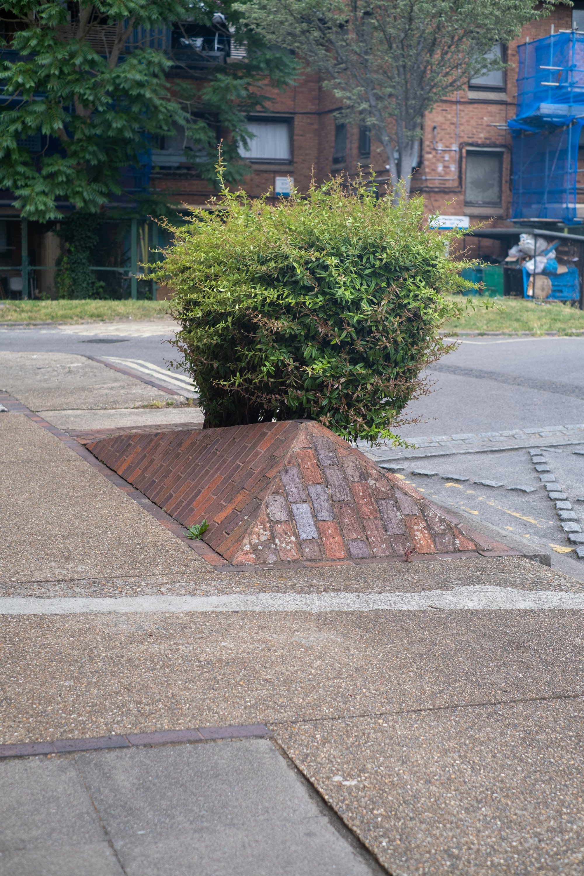 06-peter-haynes-daily-photos-june-2026-london-se-walk-0378.jpg