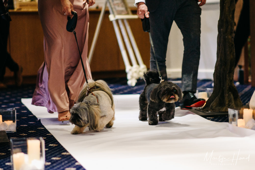 Waterton Park Hotel Wedding Photographer Martyn Hand Photography